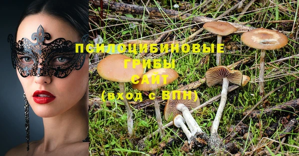 дживик Алексеевка